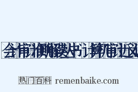会计审计准则解读丛书·计算机审计近义词是什么意思的图片